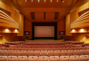 The Opening Scene: Where a Film Teaches Us How to Watch